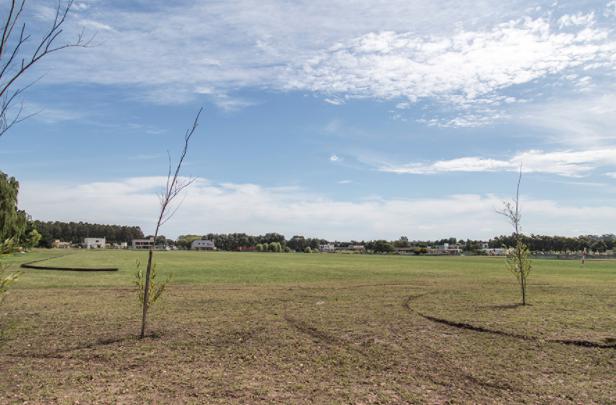 Lote en venta, Cancha de Polo,  Arenas del Sur.