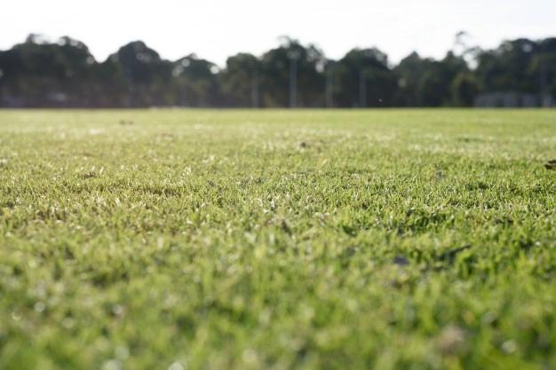 Terreno a la venta  en El Triángulo