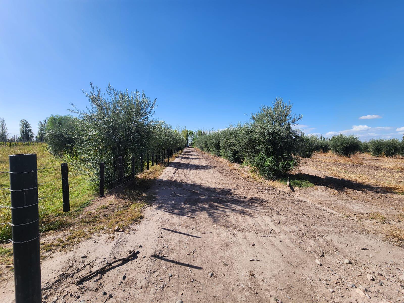 Finca con grandes construcciones de depositos, establo ,tambo y criadero