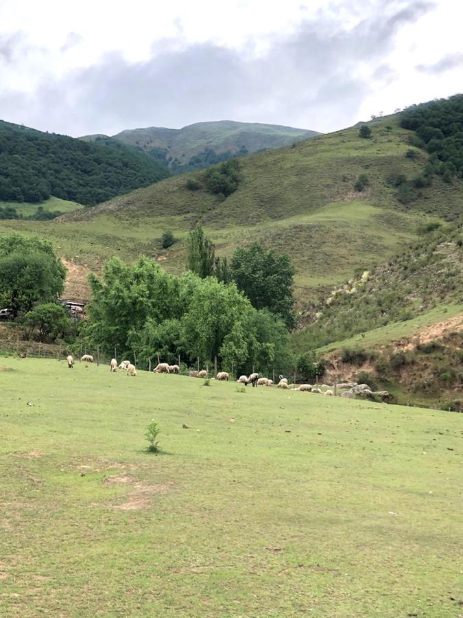 Terreno - Tafi Del Valle