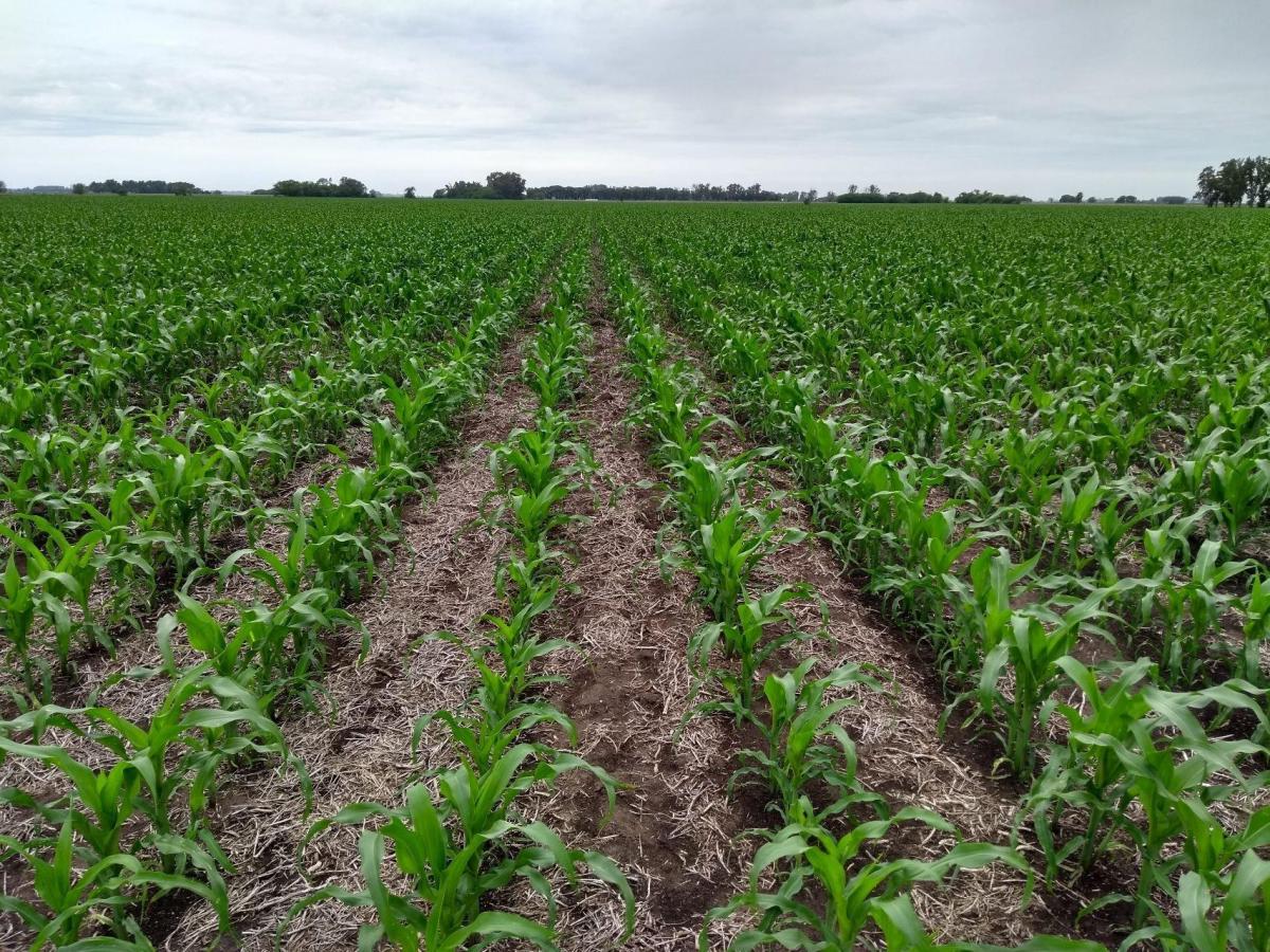 Excelente campo 40 hectáreas para urbanizar, Roldan