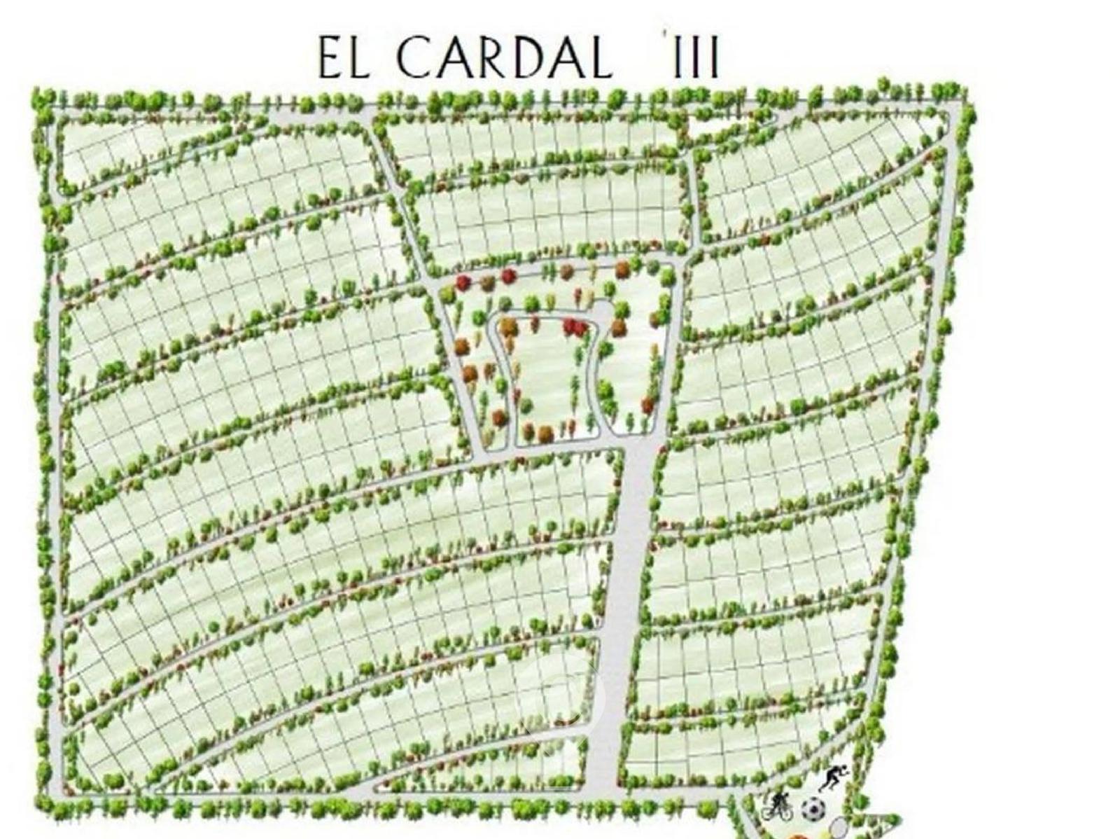 Terreno en Venta en El Cardal 3 de 1000 m²