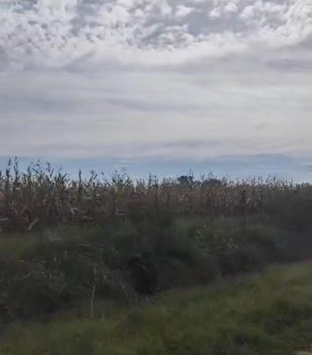 Campo en venta 173 Hectareas Navarro Provincia de Buenos Aires Campo en Gonzalez Risos