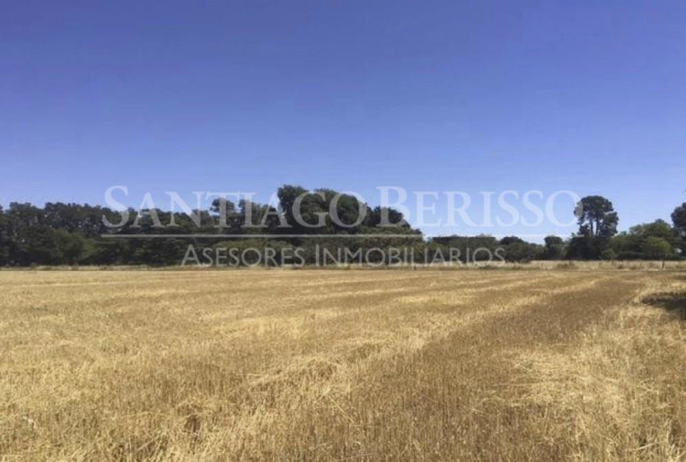 Terreno Campo  en Venta ubicado en Zárate, G.B.A. Zona Norte, Argentina