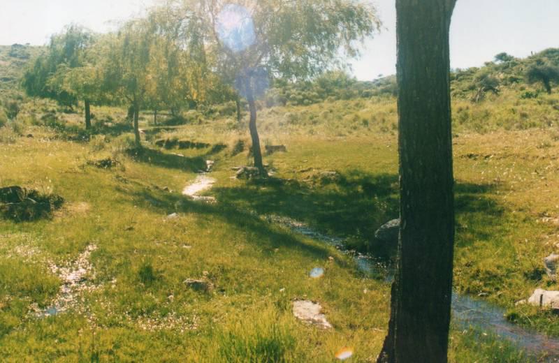 Campo ganadero Traslasierra semiarmado con agua permanente para mantener 120 vacas crias - MINA CLAVERO - CORDOBA