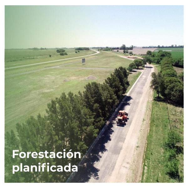 SEGURIDAD Y NATURALEZA - TERRENOS ESCRITURABLES CERCA DE ROSARIO