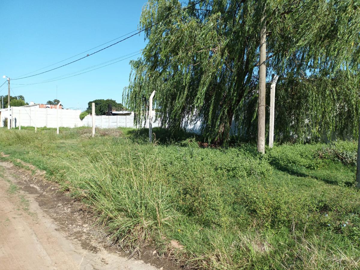 Terreno en Saladillo Frocham y Rojas