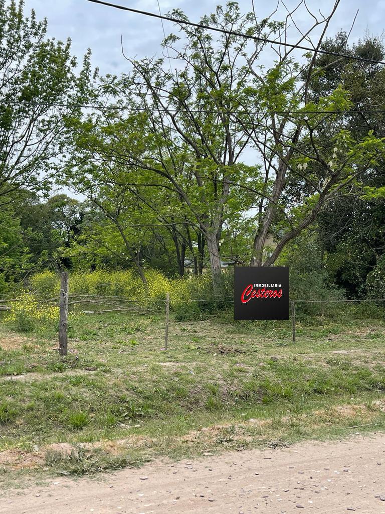 Terreno en Calle Uribelarrea entre Ramona P. de Paez y Valentín Cassini, Uribelarrea