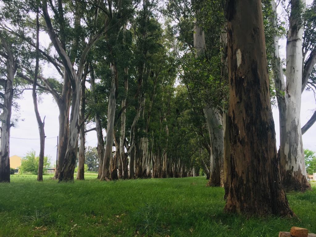 Terreno - Lobos Country Club en inmejorable ubicación