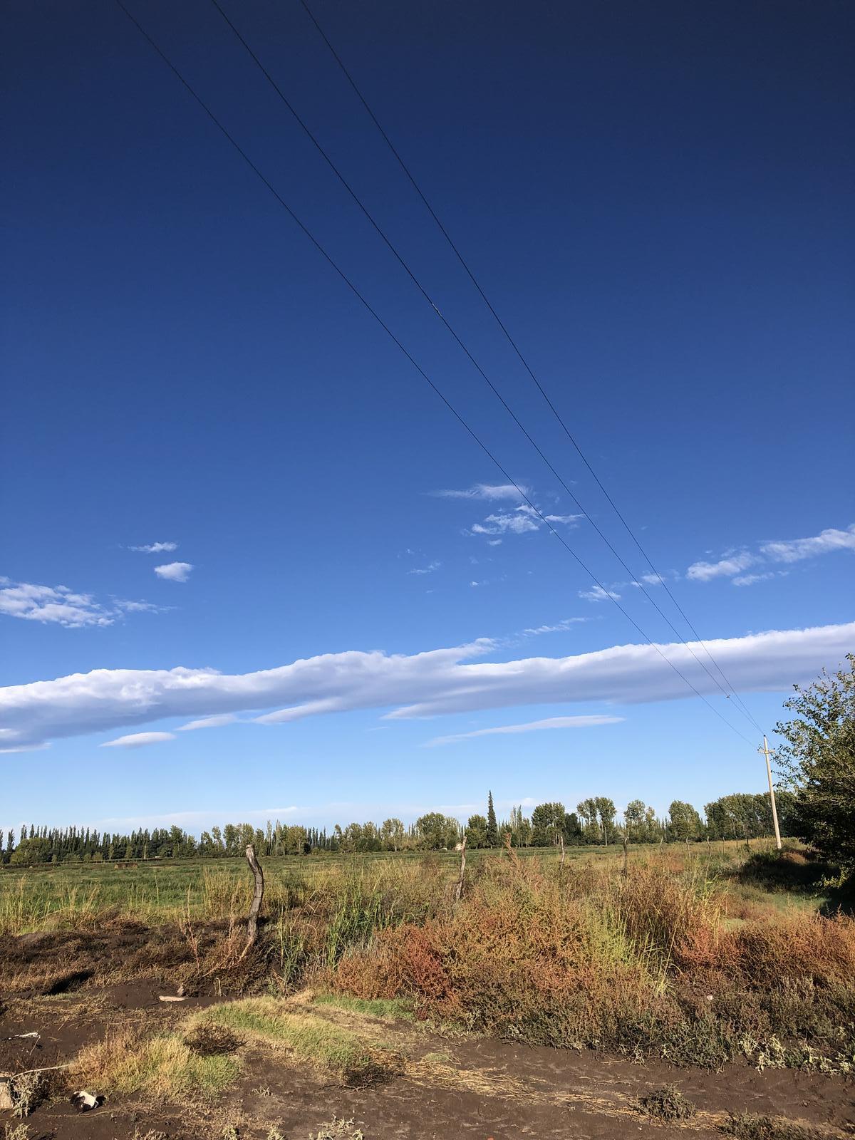 Finca en Venta en La Aguaditas - Goudge - San Rafael - Mendoza