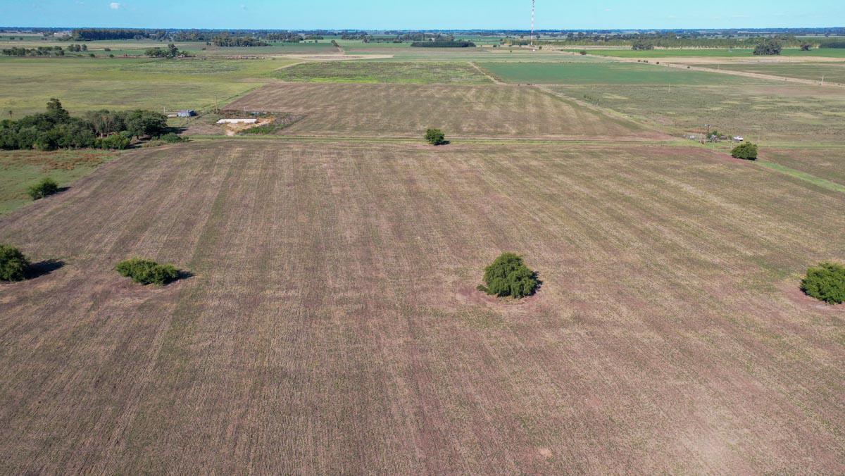 Campo de 20 has en Navarro