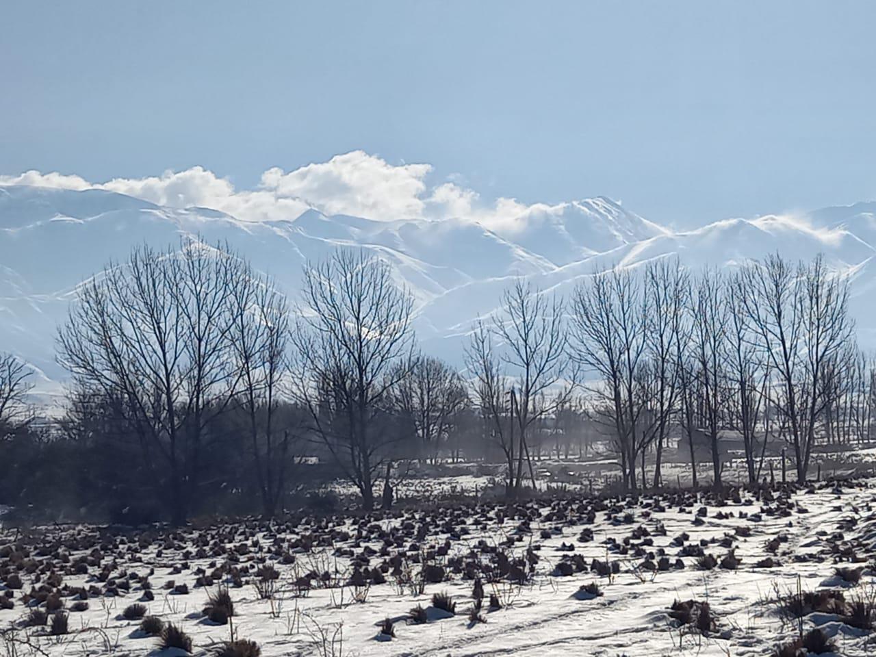 Lotes en Venta en Tupungato - Mendoza