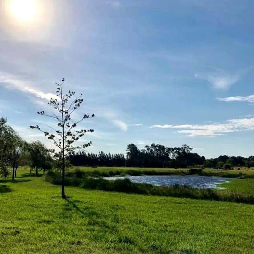 Venta Lote en Las Calandrias Los Cardales Exaltación de la Cruz