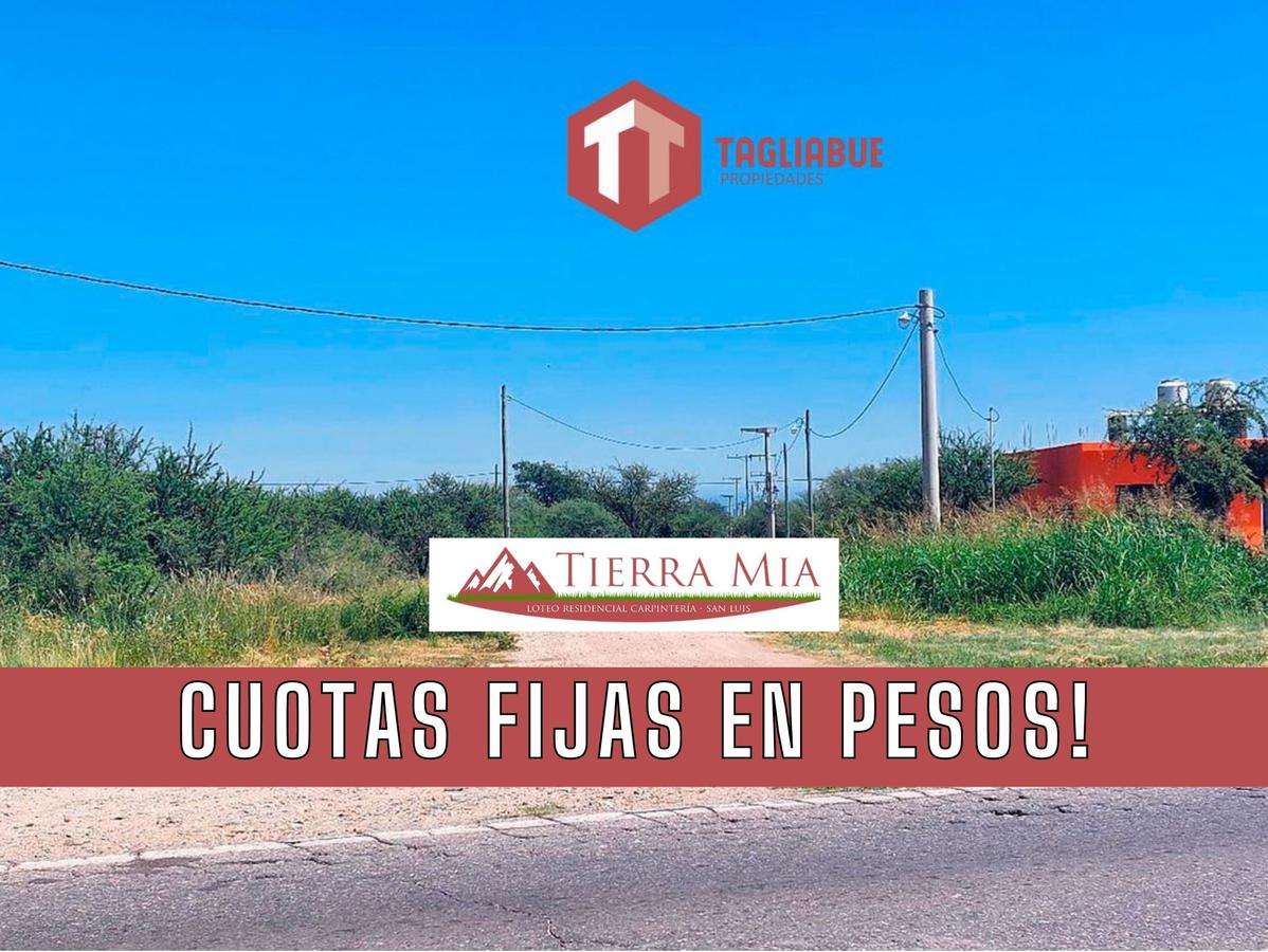 TIERRA MIA - Lote 95