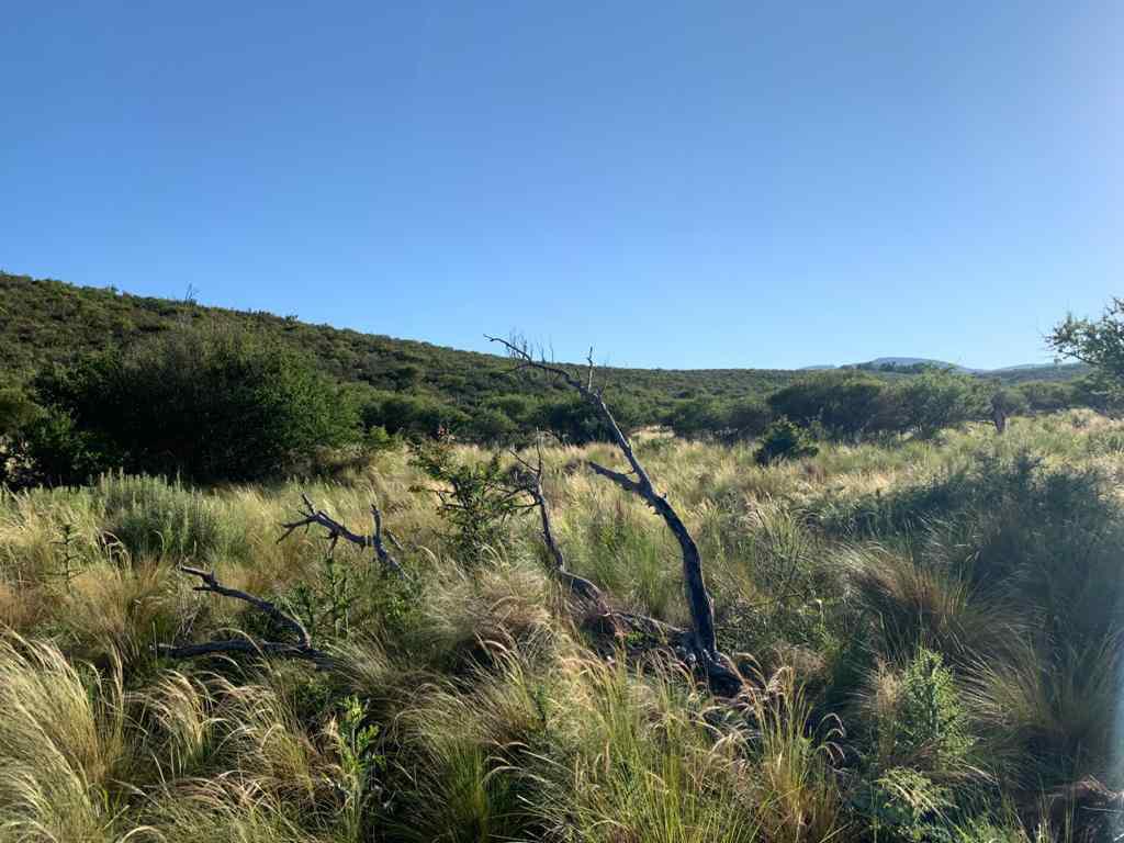 VENTA CHACRAS-LOTES LA CUMBRE SOBRE RUTA 38