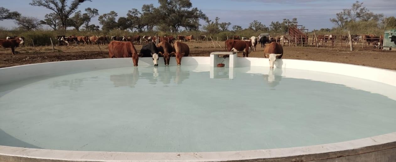 Campo en venta de 3.000 Hectáreas en Las Tolderías Santiago del Estero.