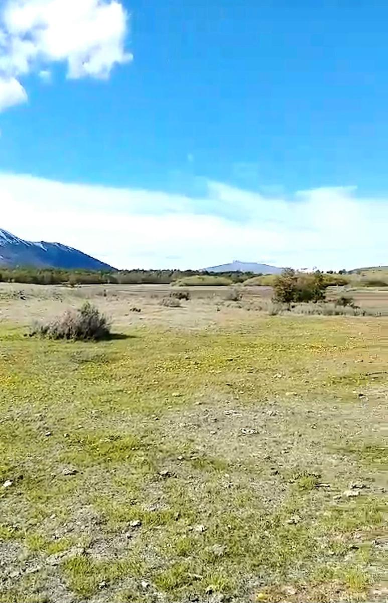 Venta Campo con Vista al Perito Moreno - 1300 Ha - Santa cruz - Lago argentino