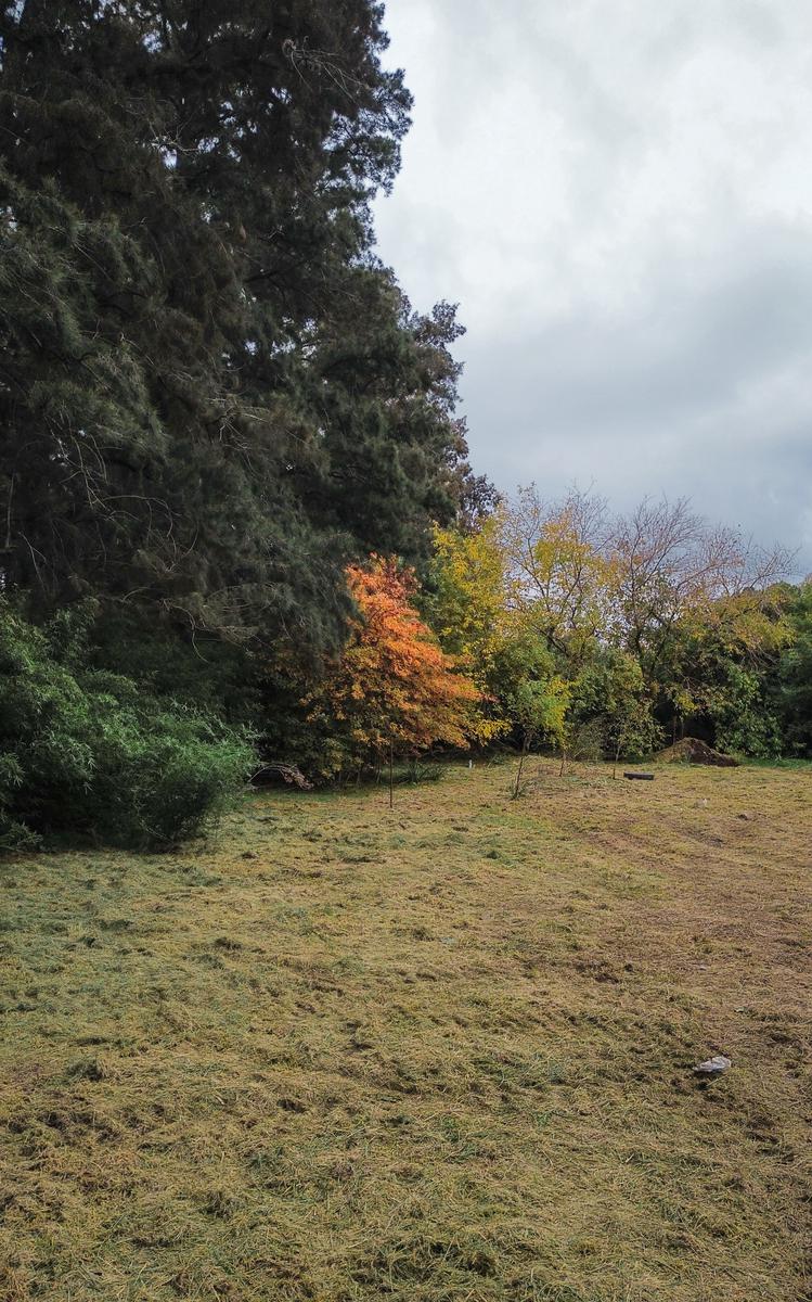 TERRENO A LA VENTA EN YEI PORA BARRIO ABIERTO LA ESMERALDA