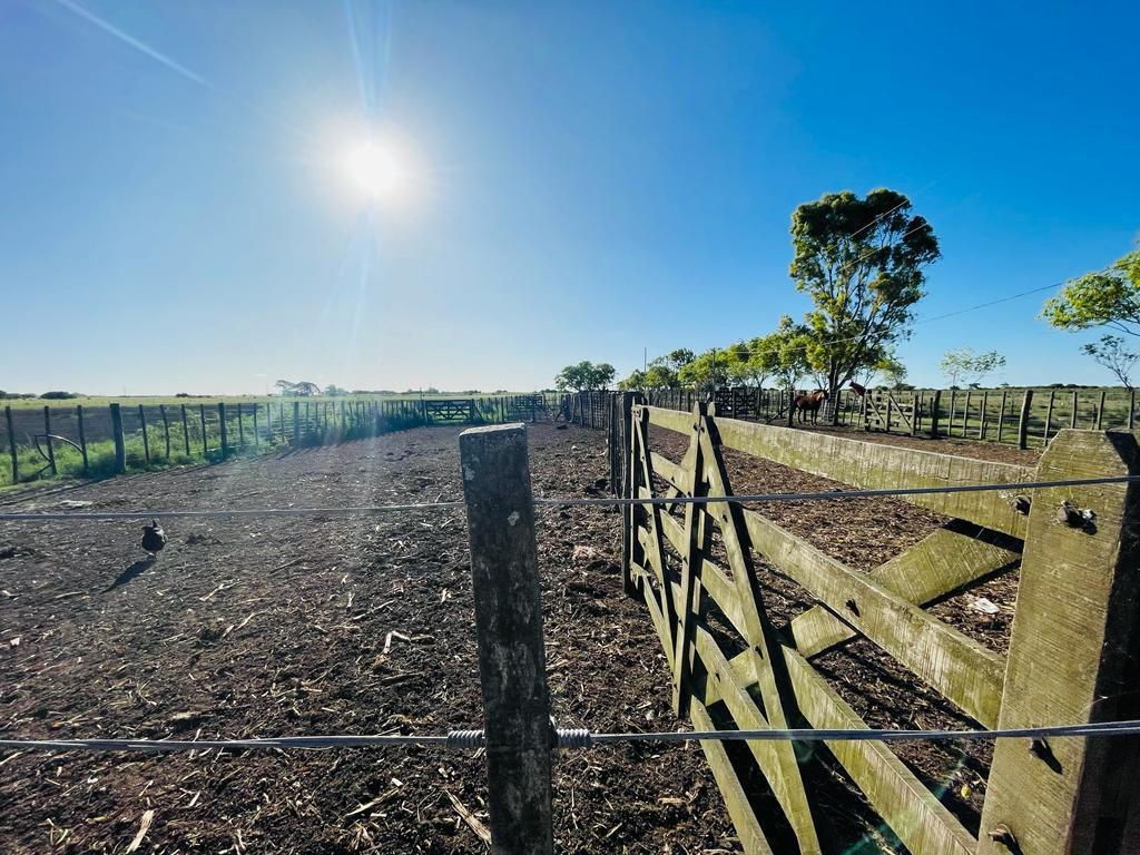 Campo en  ruta 56 45 ha