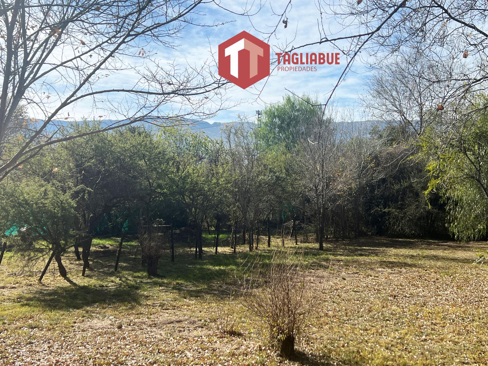 Terreno en Zona Céntrica, Merlo, San Luis