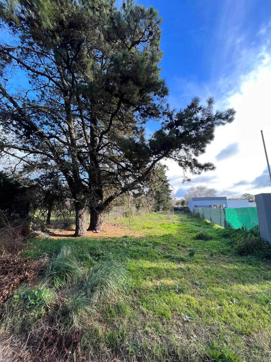 Lote en venta Zona La Rural