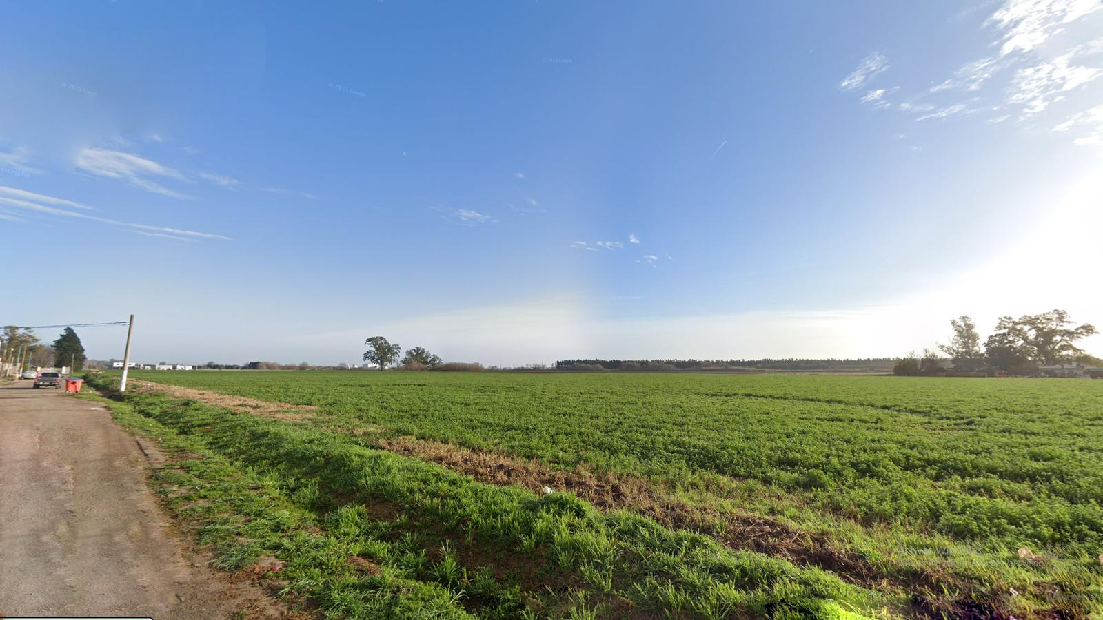 Venta Campo en Piñero