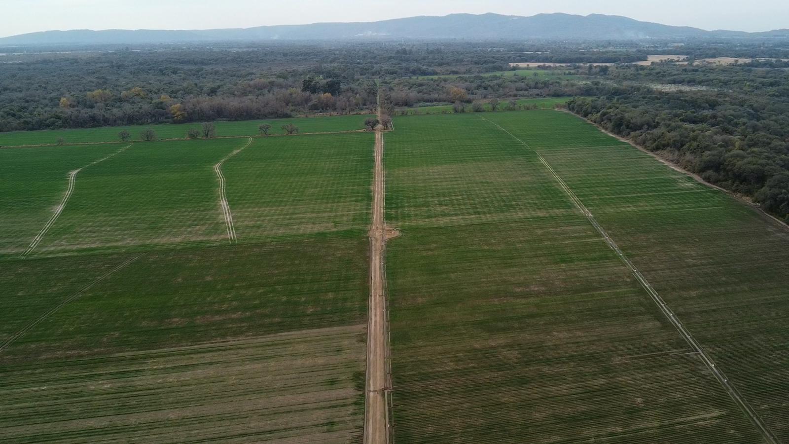 Campo en Venta en Jujuy