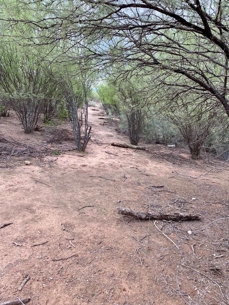 Venta Campo 2080 Hectáreas en Ruta 25 Provincia de La Rioja.