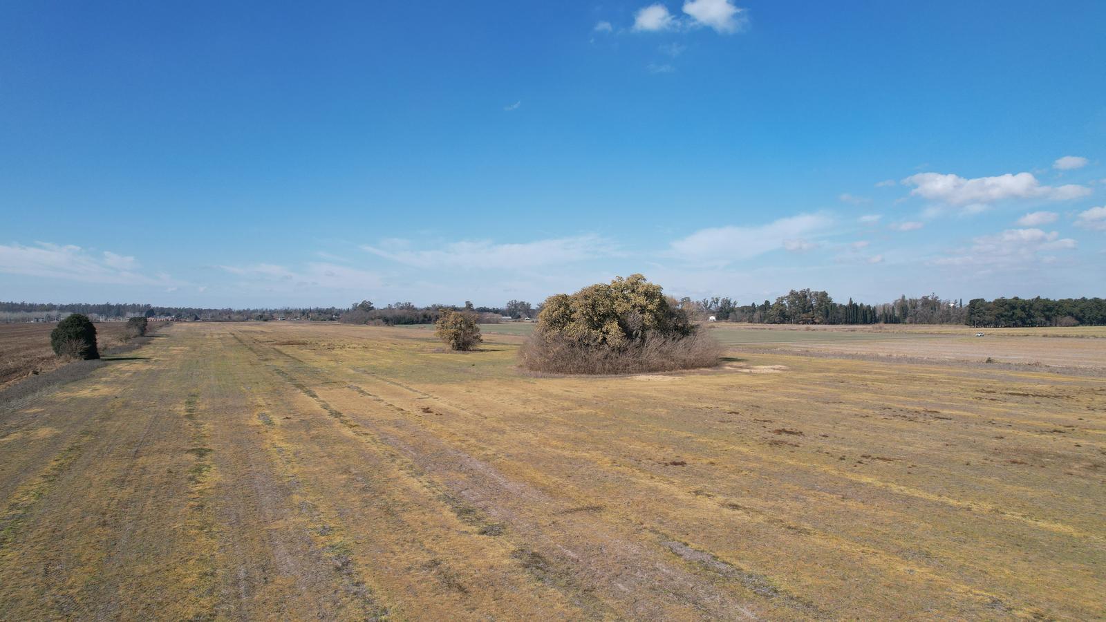 Campo en VENTA 36 hectáreas CLASE 1  Oliveros, Sta Fe