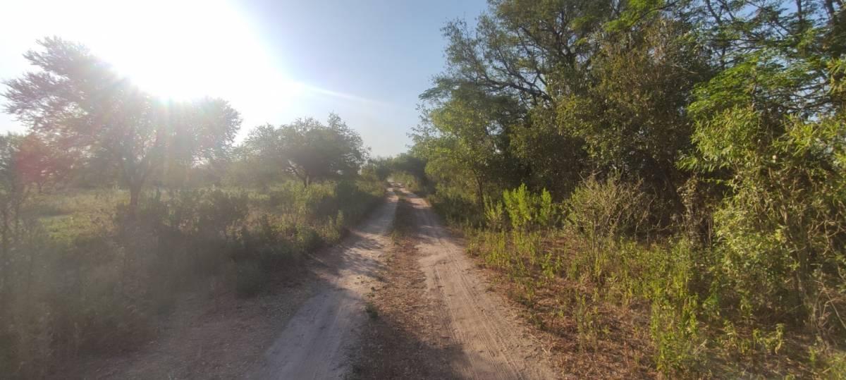 Venta Campo agrícola ganadero en  Limite Arocena Coronda sobre el Rio Coronda.