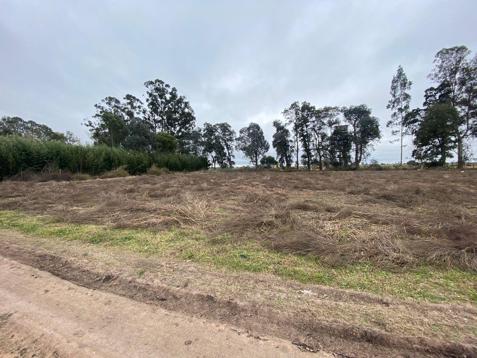 Terreno en  venta