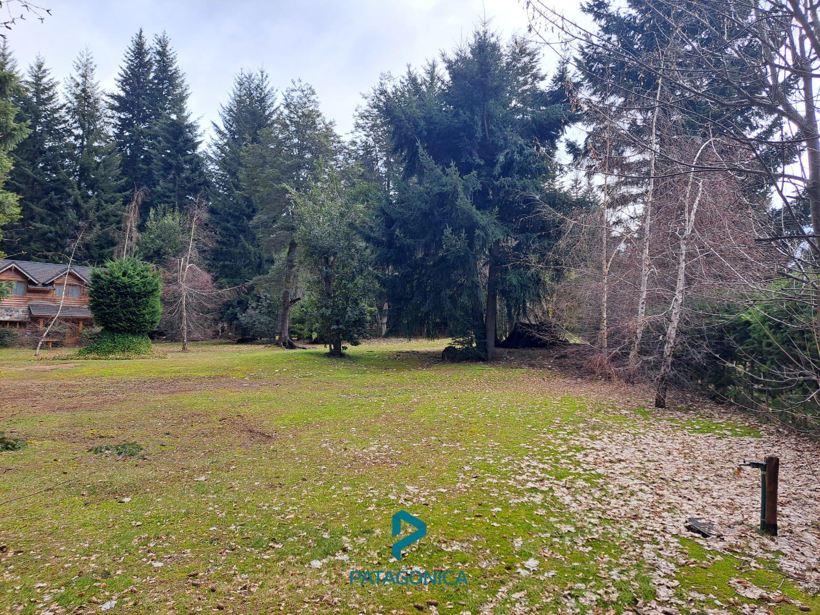 VENTA Lote/Terreno plano de 2528 m2, Puerto  Manzano, Villa la Angostura