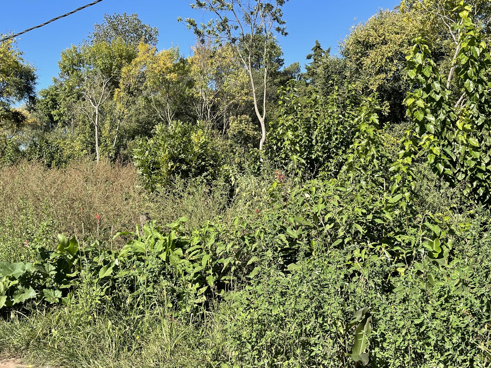 Terreno en  Terrenos en Ruta 205 km 57. Villa Adriana