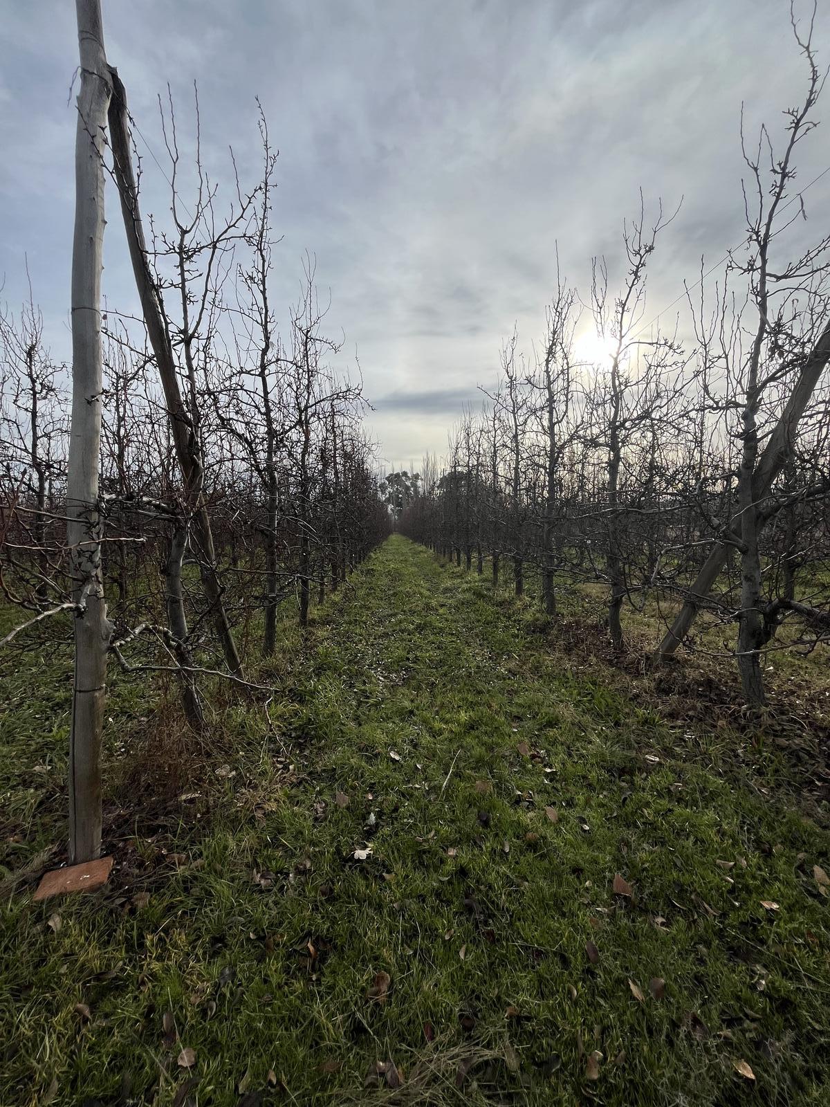 Terreno en  Venta Chacra