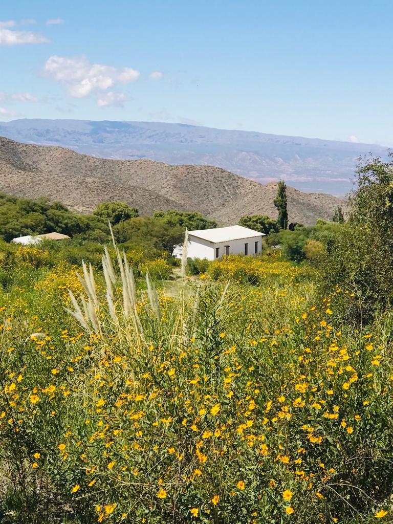 Casa en Cacho Adentro, terreno parquizado