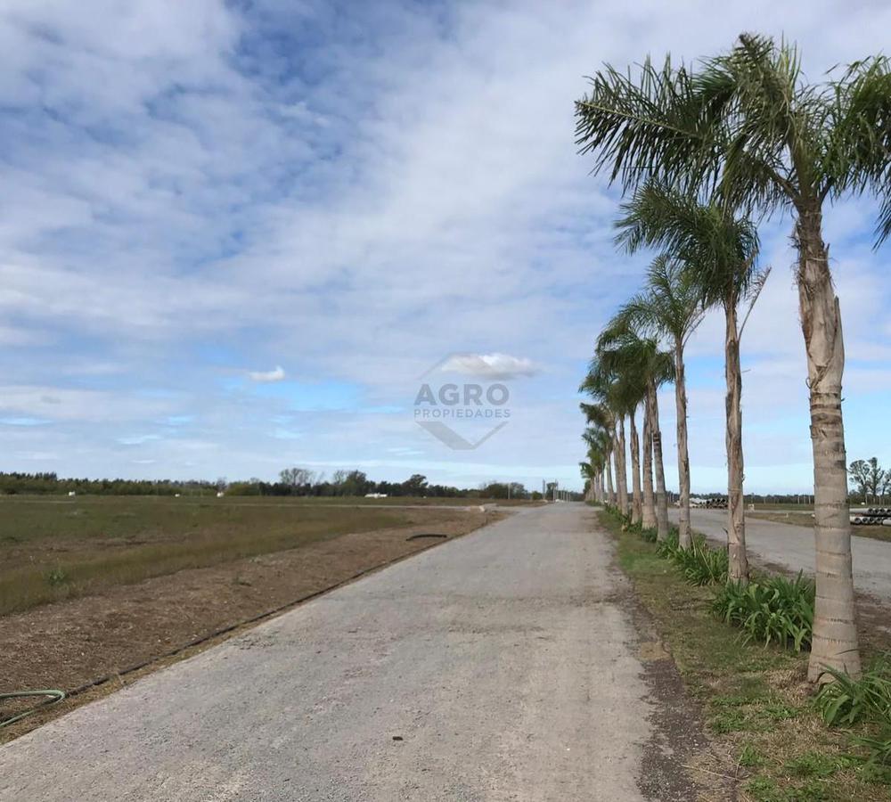 Terreno Lote  en Venta en Capilla del Señor, Exaltación de la Cruz, G.B.A. Zona Norte