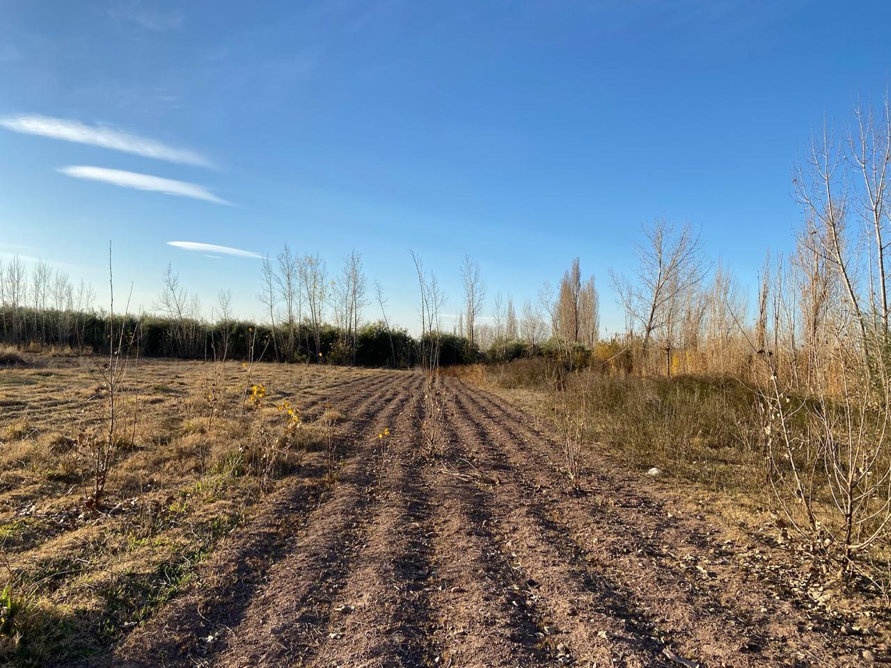 Terreno en venta en Russell para potencial urbanización- Fracción A