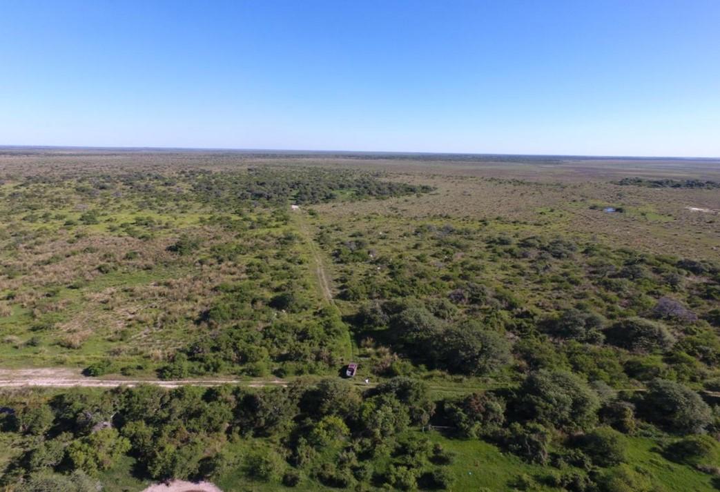 Venta campo santa fe - campo ganadero santa rosa