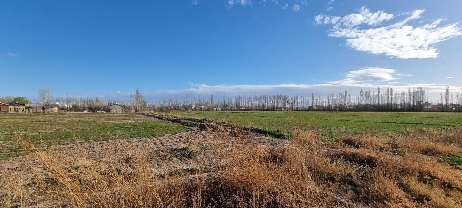 Terrenos en venta en Loteo Manzanares de Ginés Martínez etapa 3 Cipolletti Río Negro