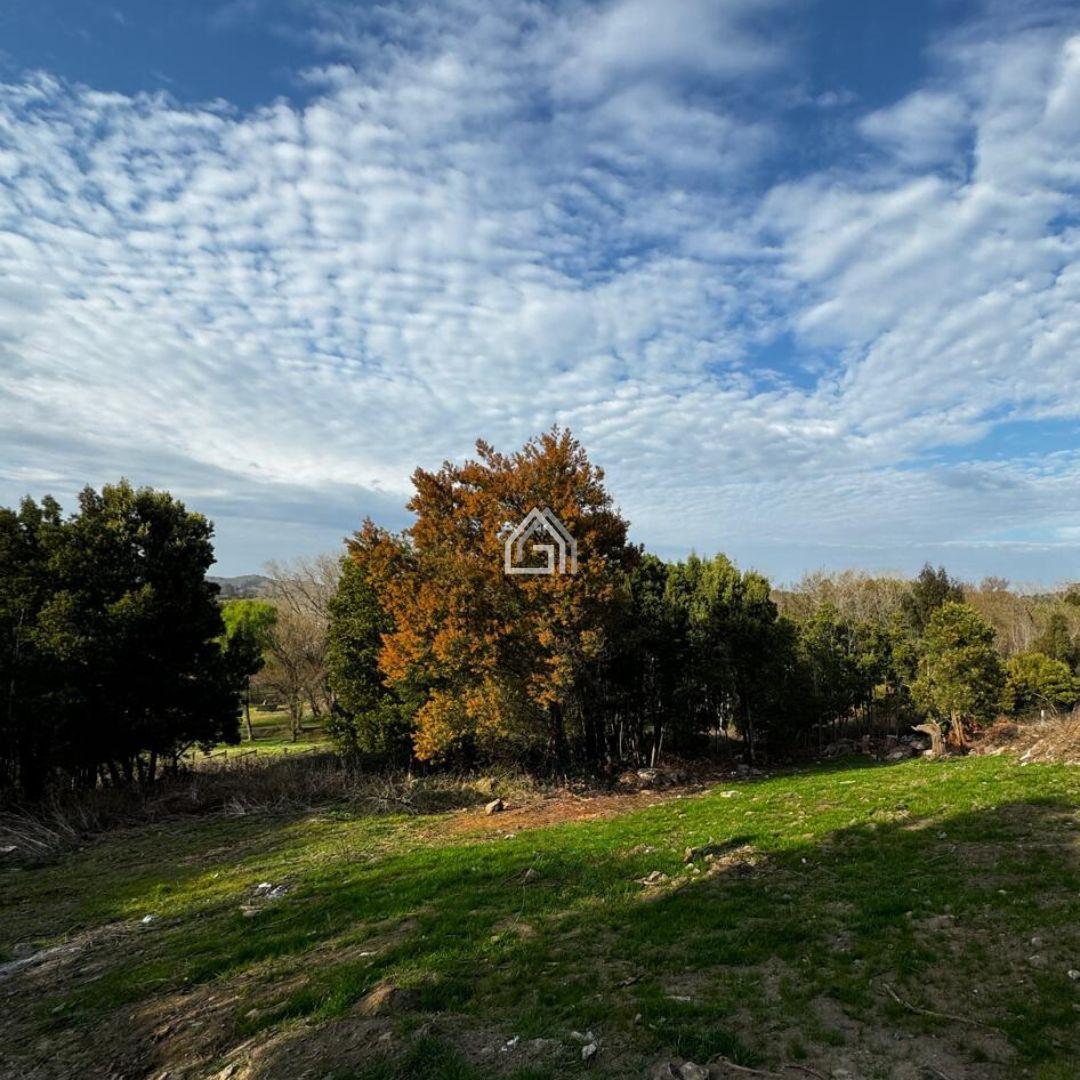 VENTA Terreno en  Frondizi y García, Tandil