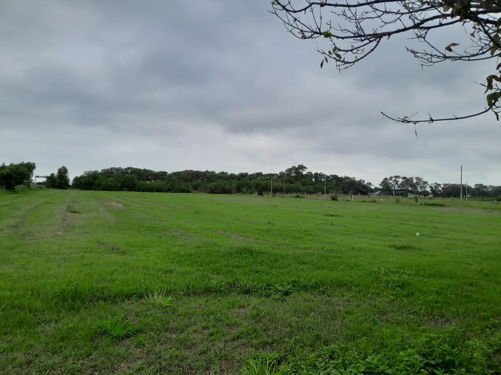 TERRENO EN PILAR - CORDOBA