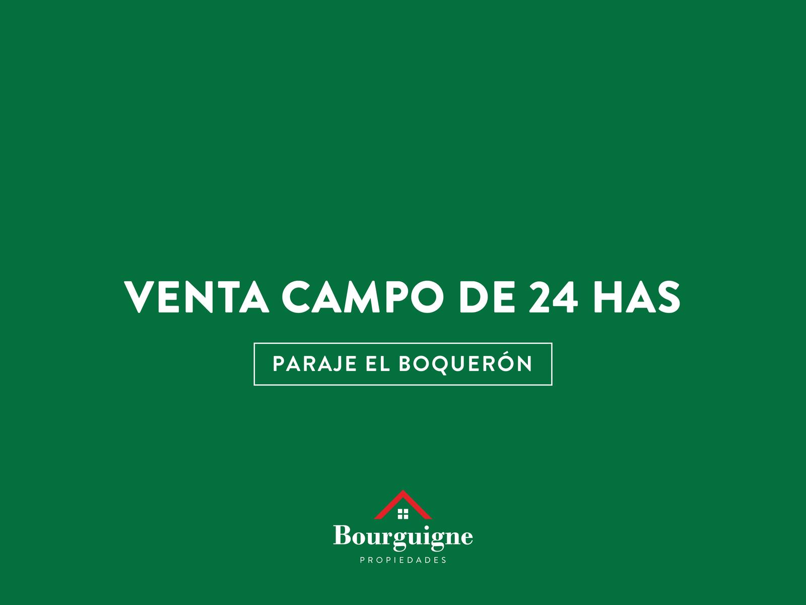 Campo VENTA en paraje El Boquerón, a mts de ruta 88