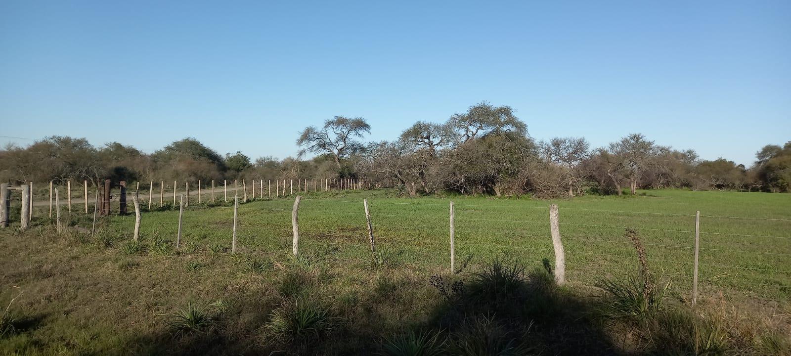 Campo en  venta 970 Ha. + Isla  La Paz - Agrícola Ganadero