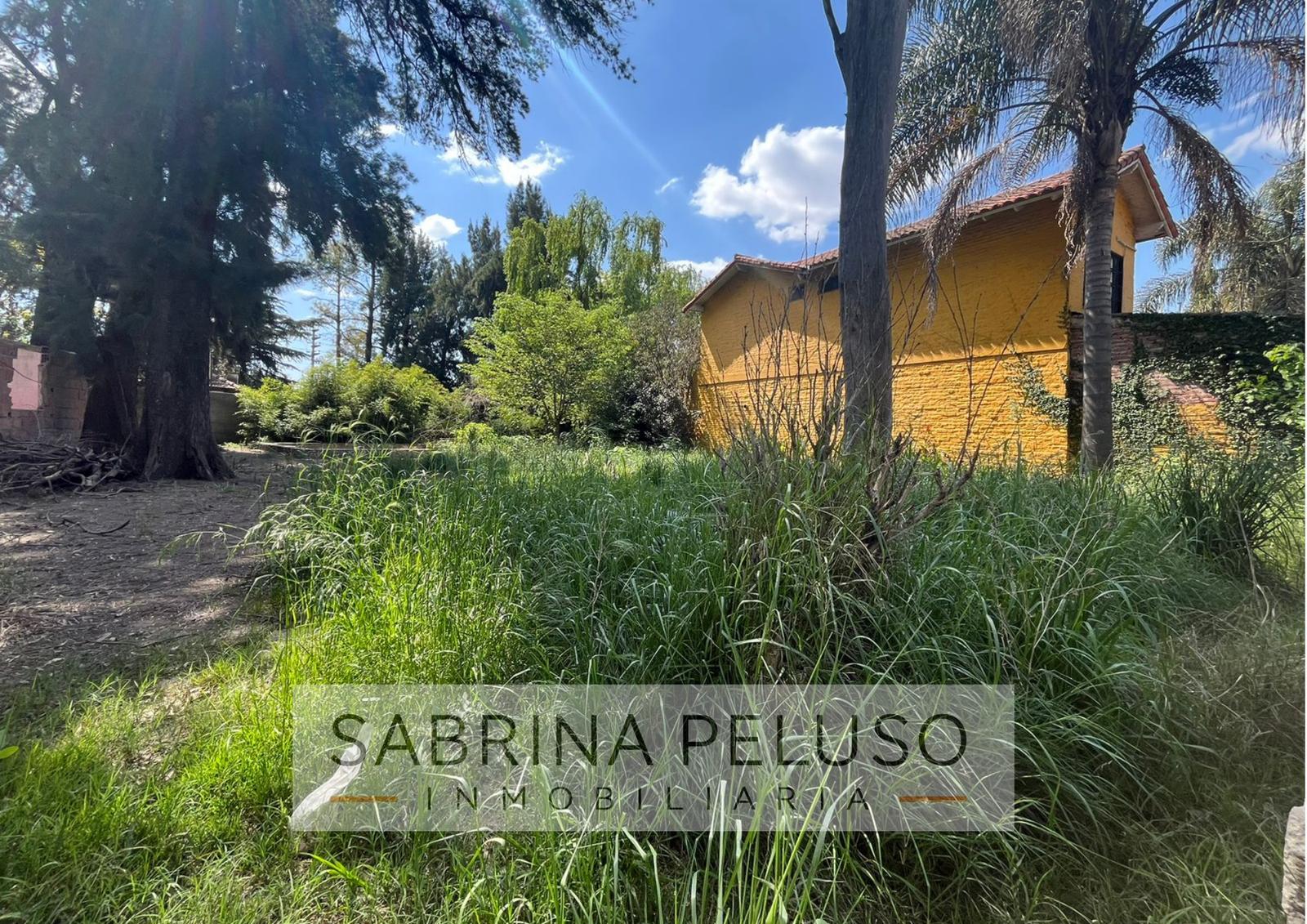 venta terreno paso del rey