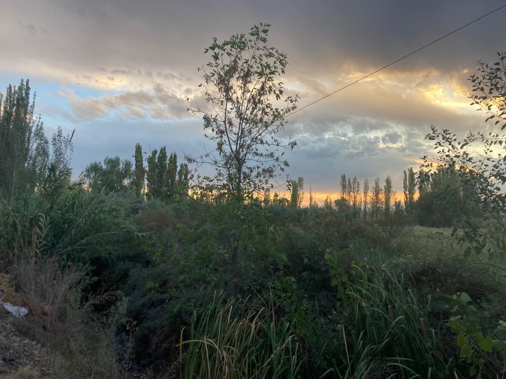 Terreno en  Corralitos