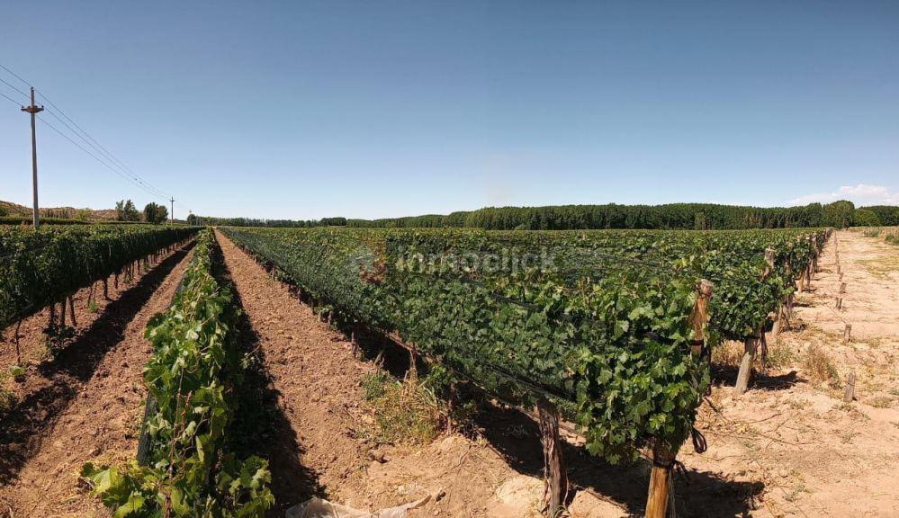 Finca en venta en Carrizal del Medio