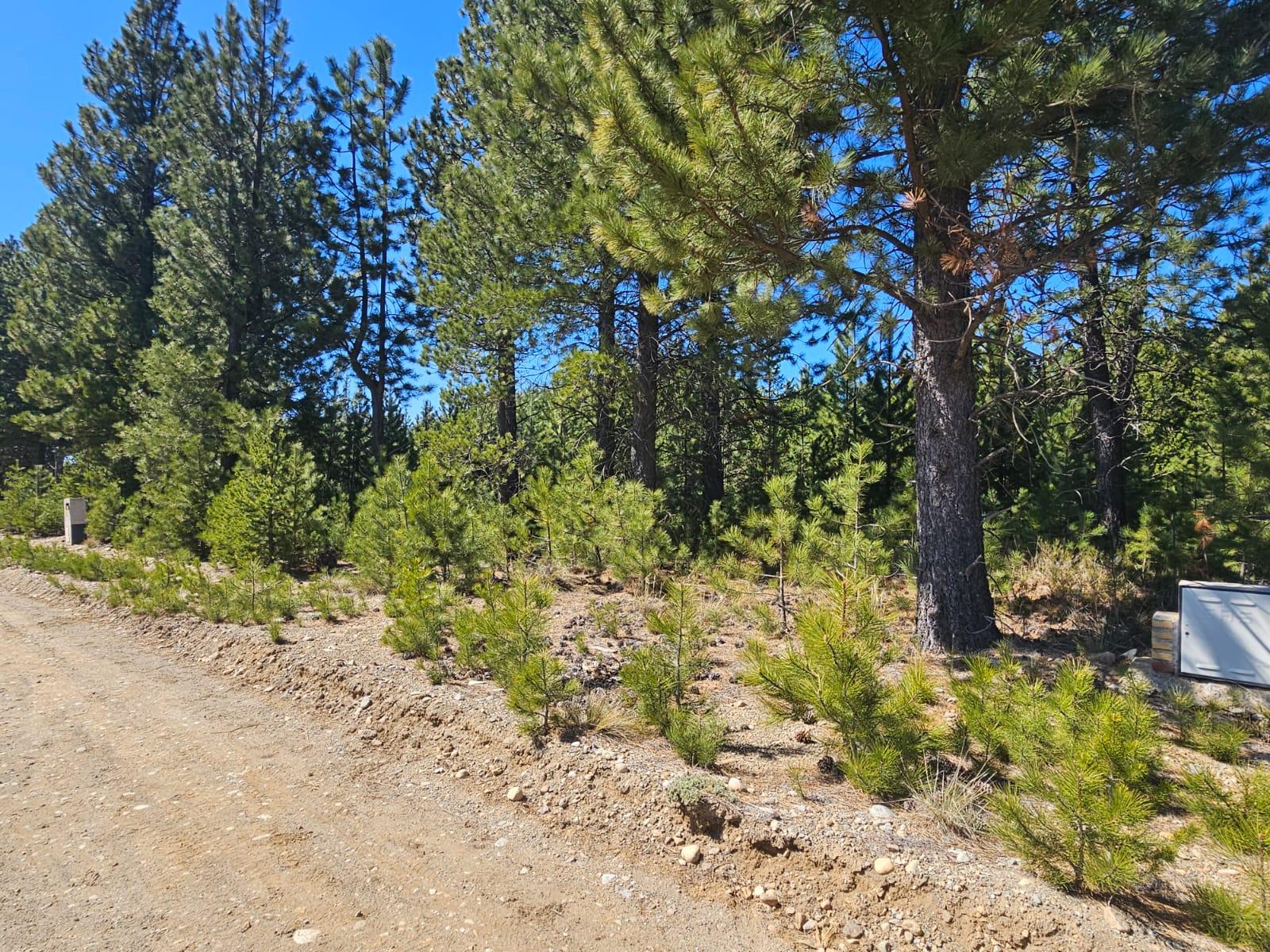 Terreno en  venta en Club de Campo Dos Valles