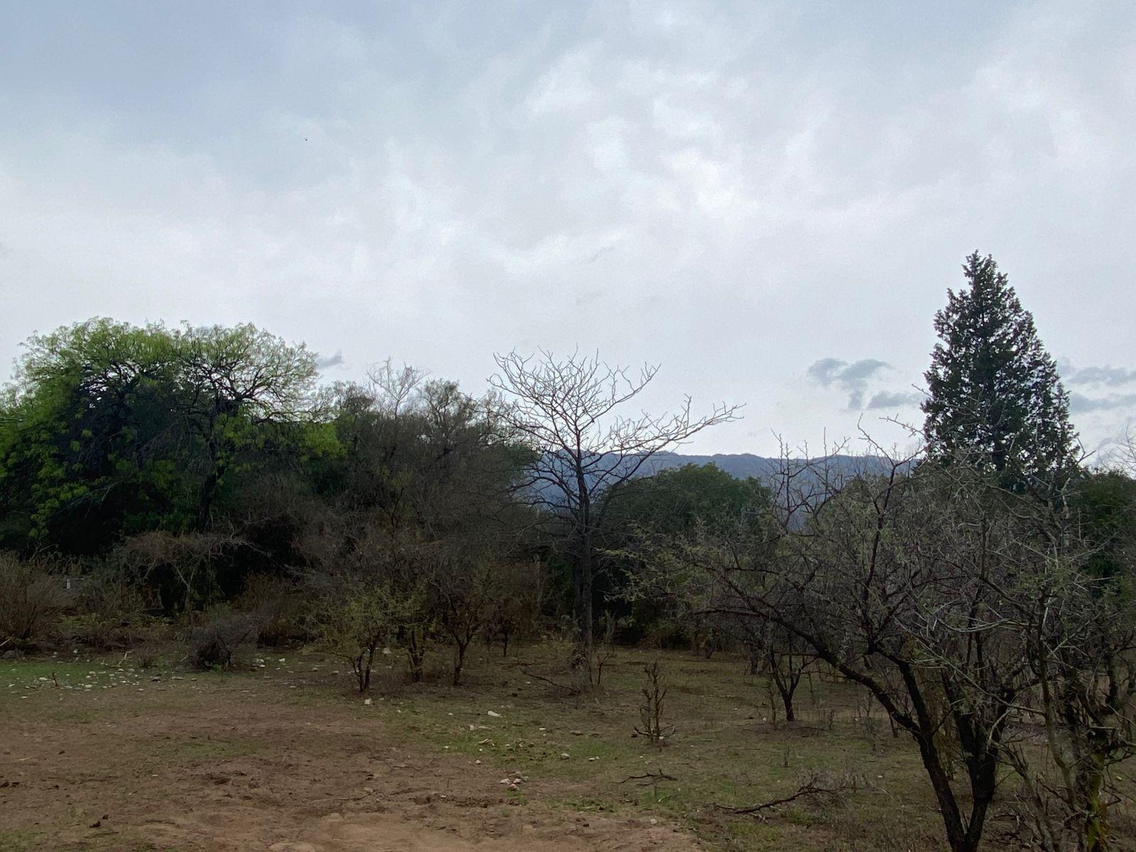 VENTA LOTE MERLO - PIEDRA BLANCA ARRIBA