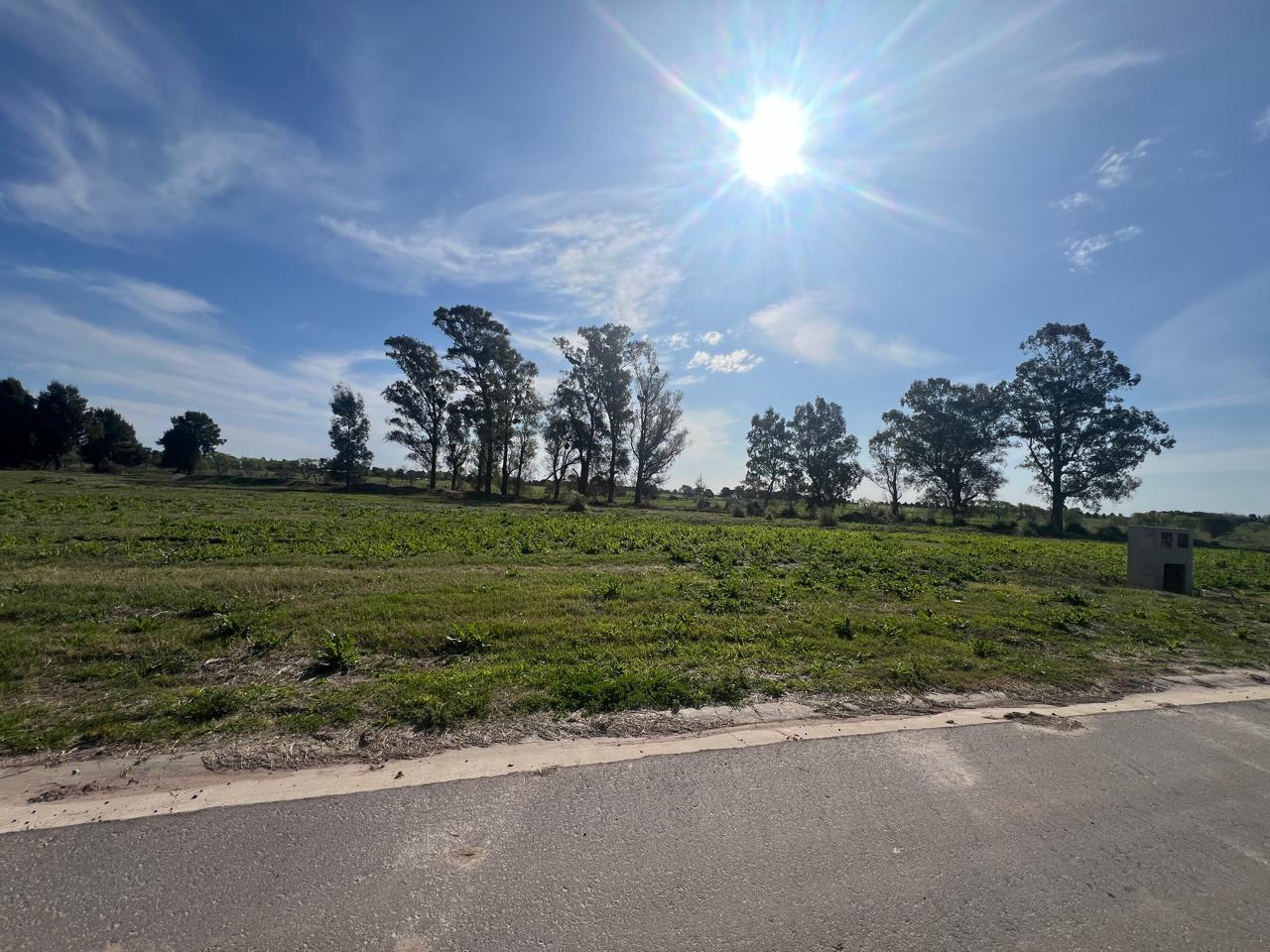 Terreno de 1600 m2 en el barrio Pinares!