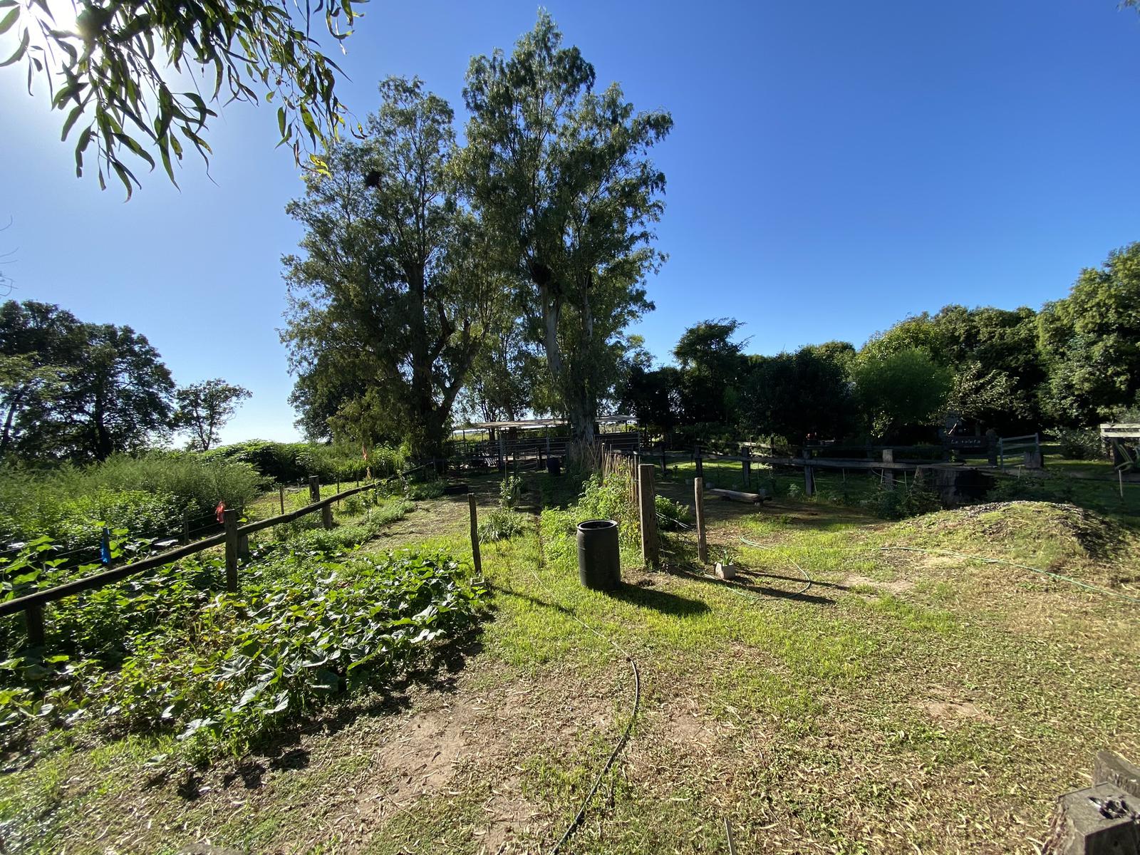 VENTA Complejo Gastronomico en Coronel Dominguez PARADOR RURAL